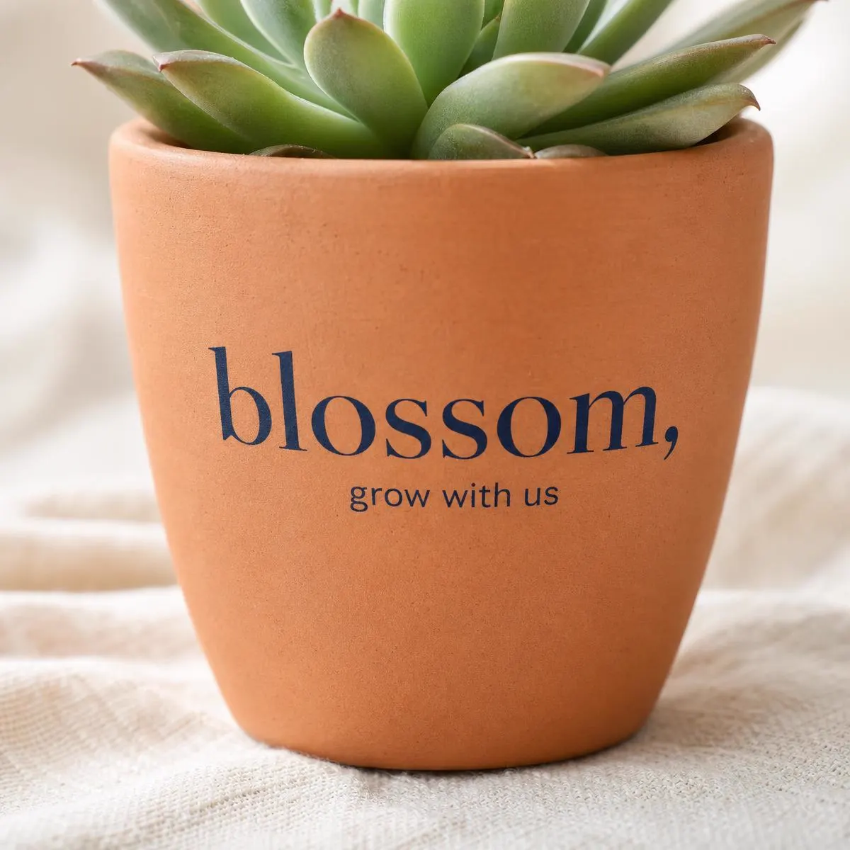 Close-up of a terracotta planter printed with the words blossom, grow with us